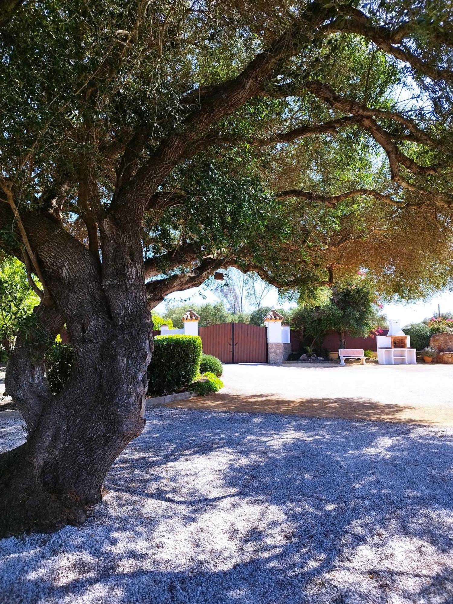 Vivienda Rural Los Madronos Malcocinado  Exterior foto